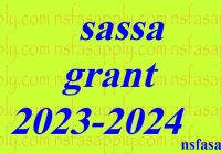 sassa grant 2023-2024