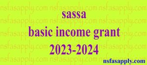 sassa basic income grant 2023-2024