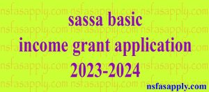 sassa basic income grant application 2023-2024