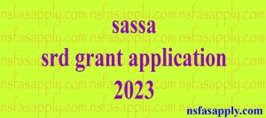 sassa srd grant application 2023