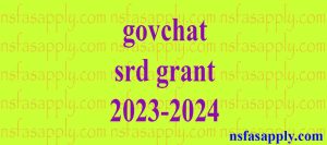 govchat srd grant 2023-2024