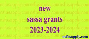 new sassa grants 2023-2024