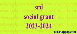 srd social grant 2023-2024